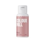 BARWNIK COLOUR MILL DUSK 20ml